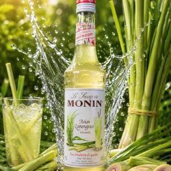 Monin Sả
