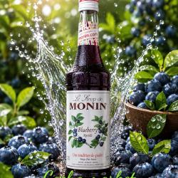 Monin Việt quất 