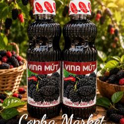 Vina mứt - Sinh tố Dâu tằm 1L